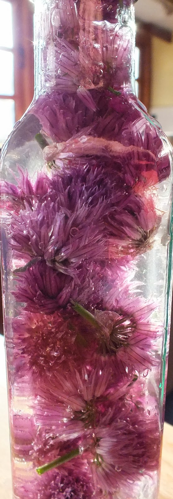 Edible flowers Chive flower vinegar.