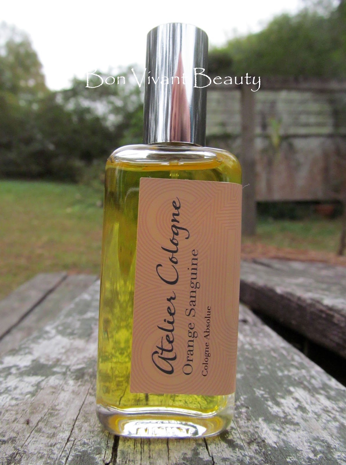 Severing Sanguine by Quil Carter Severing Sanguine by Quil Carter