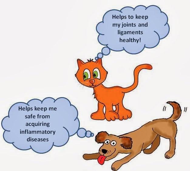 Ottawa Valley Dog Whisperer Omega3, Omega6 Fatty Acids for Dogs