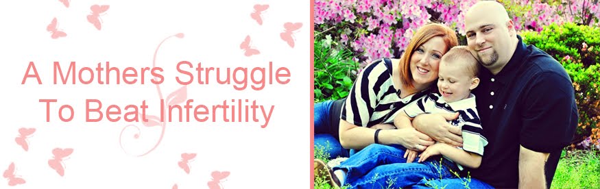 A mothers struggle to beat infertility