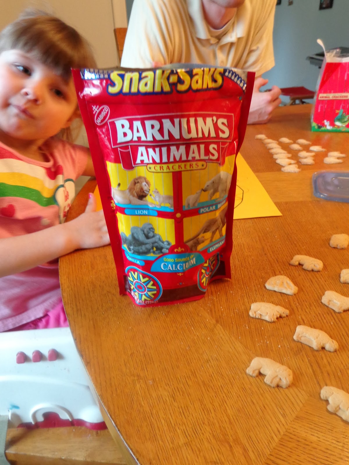 The Search for Miss Direction Animal Crackers in my Soup