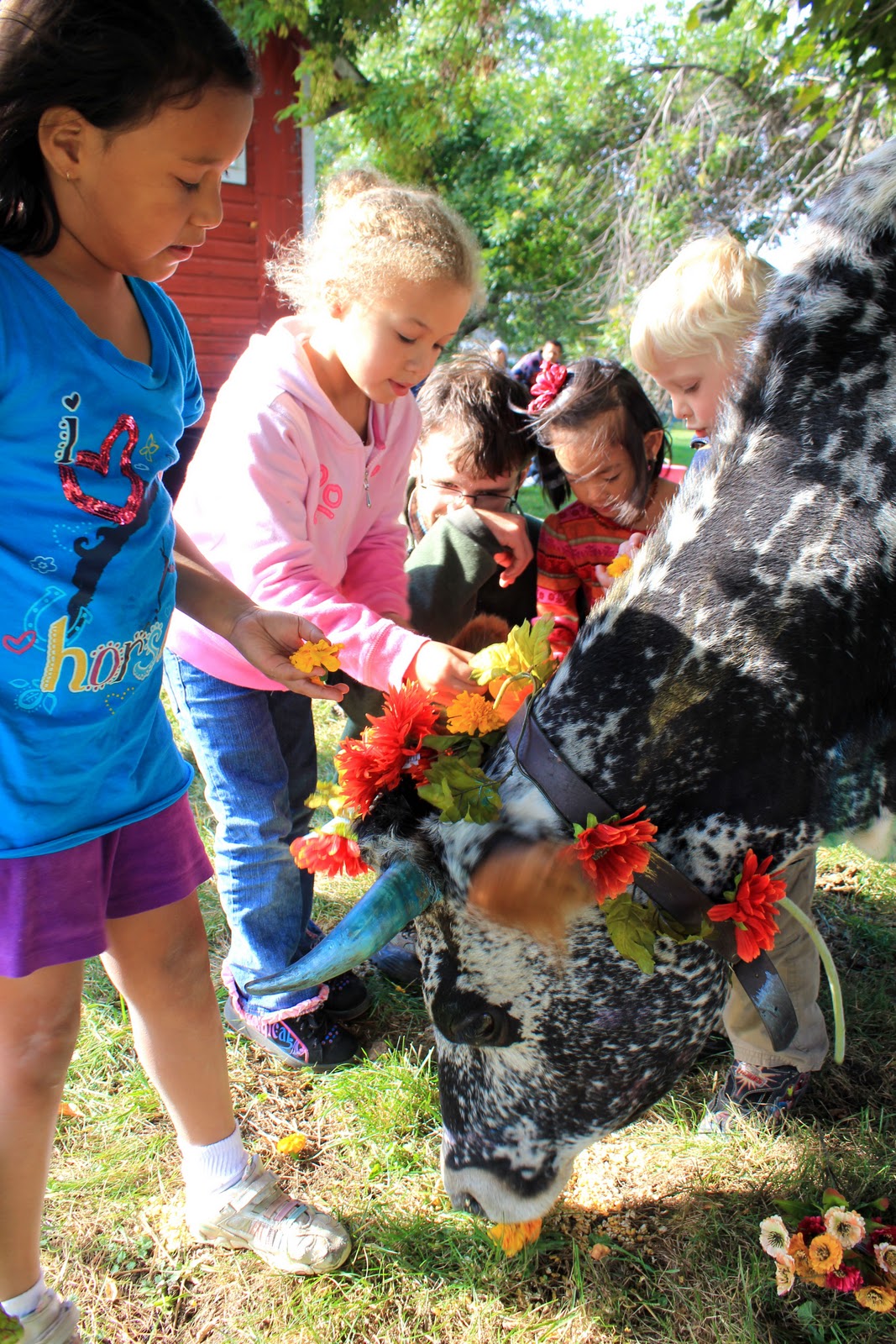 Squash Blossom Farm Celebration of Cows