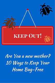 http://b-is4.blogspot.com/2015/01/are-you-new-mother-10-ways-to-bug-proof.html