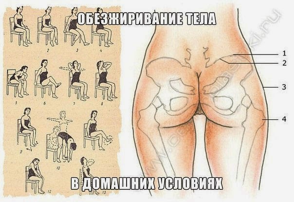 Питание сушка тела в домашних условиях Питание сушка тела в домашних условиях