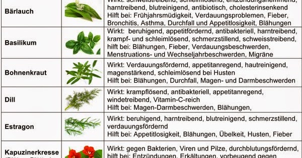 Natürlich Gesund Überblick über die Wirkungsweisen der wichtigsten