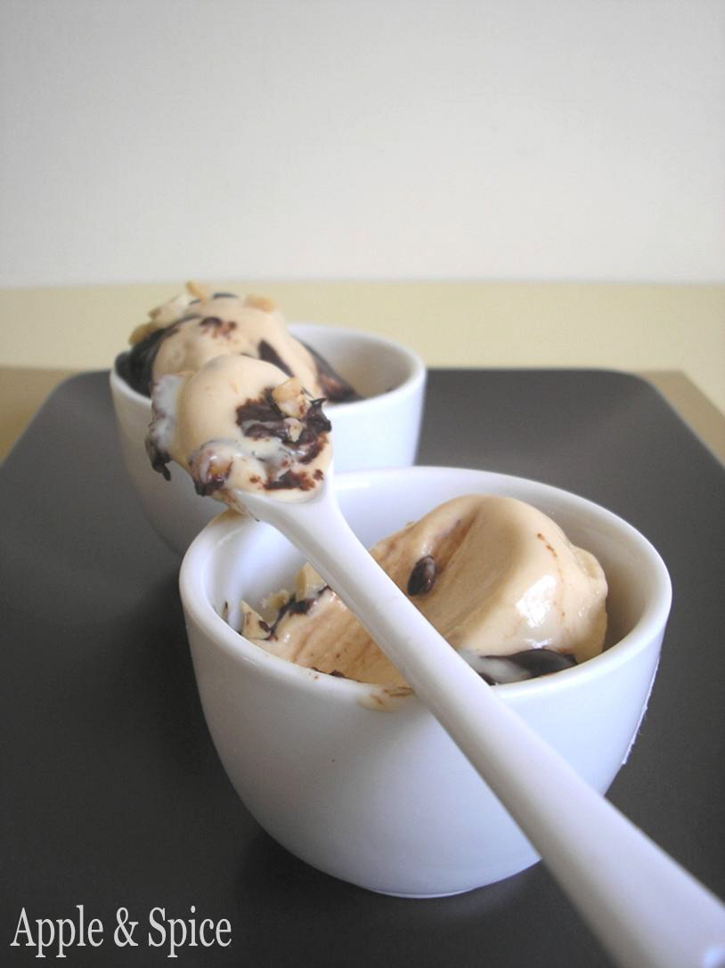 Apple & Spice Peanut Butter Ice Cream with Chocolate Sauce & Salted Peanuts