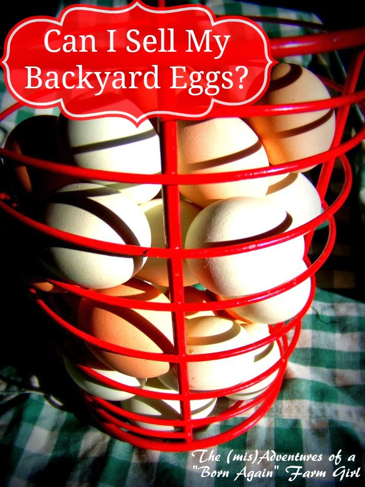 Can I Sell My Backyard Eggs? The (mis)Adventures of a Homesteadin' Mama