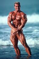 Huge Beasts Male Bodybuilding Models Huge Beasts Male Bodybuilding Models