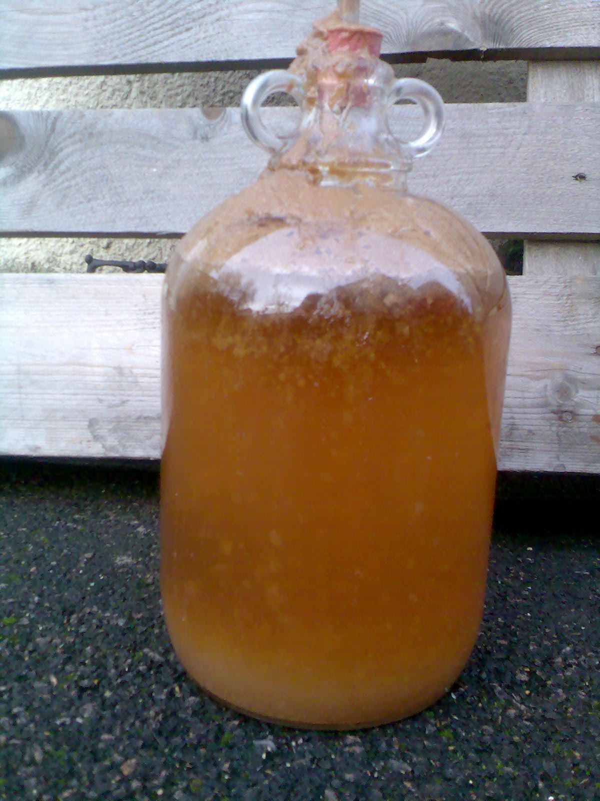 Ben's Adventures in Wine Making Ginger Wine 2016 The Making Of