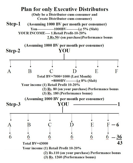 Vestige products pdf download picture
