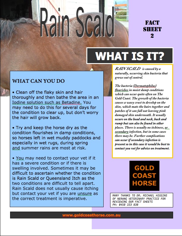 Sustainable Horsekeeping What To Do About Rain Scald