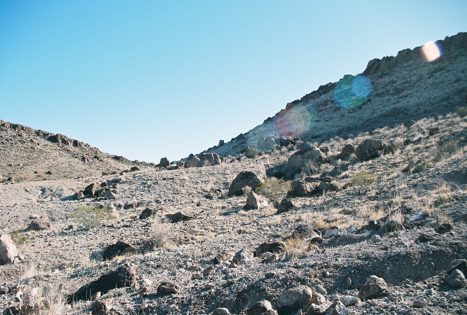 Southern New Mexico Explorer Rincon Palm Park