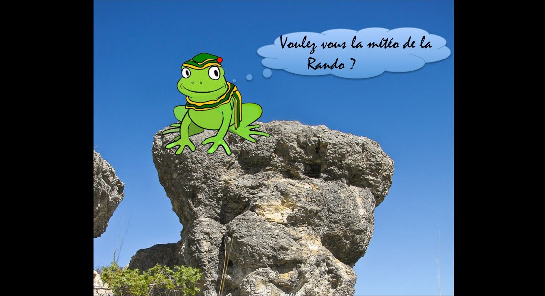 1100- GRENOUILLE