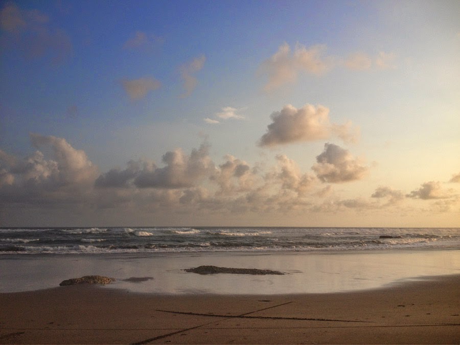 Melman And The Hippo Nenek Moyang Ku Bukan Orang Pelaut