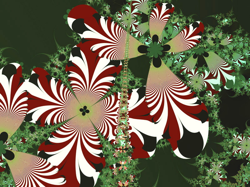 Flower Design Flower Design