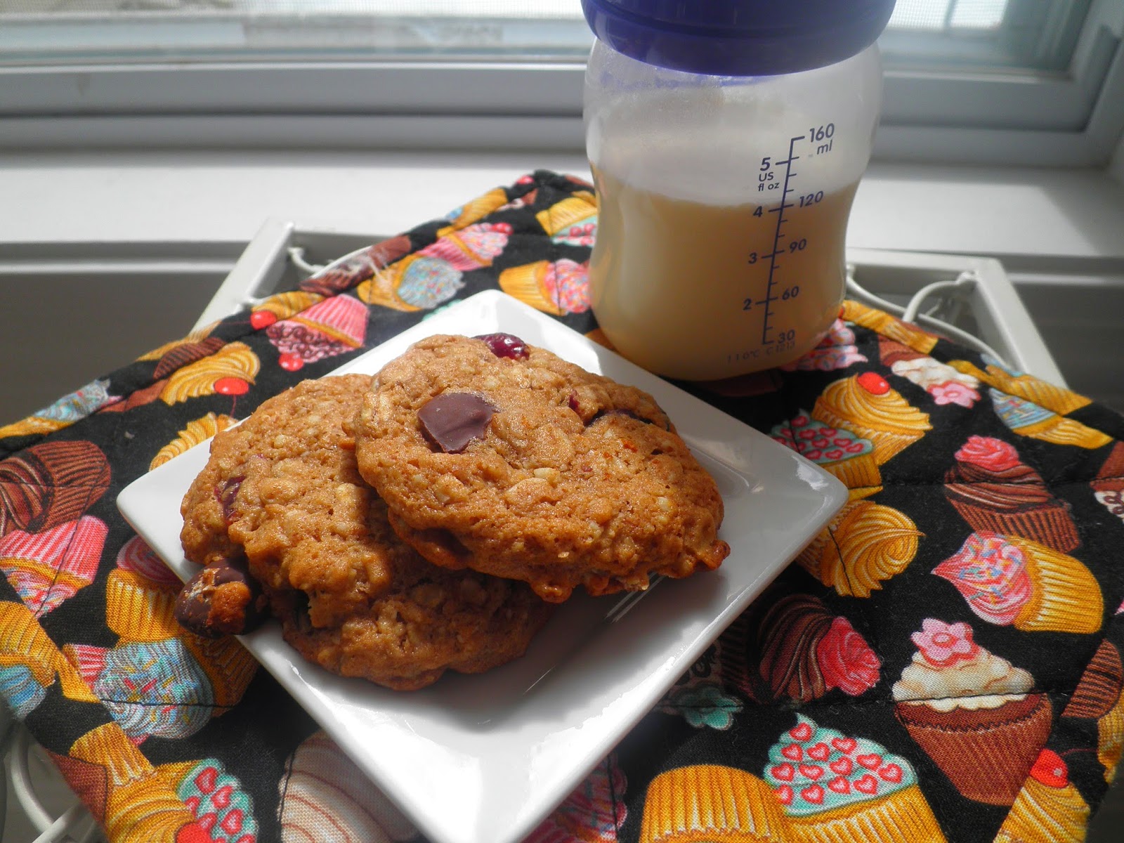 Secrets from the Cookie Princess Oatmeal and Honey Lactation Cookies