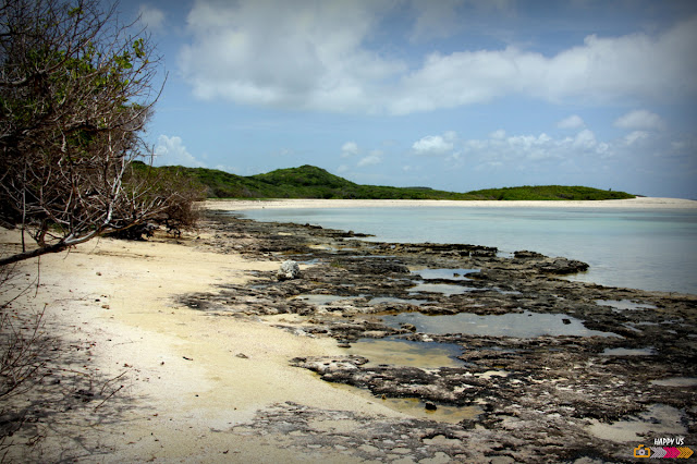 A la Pointe des Châteaux 