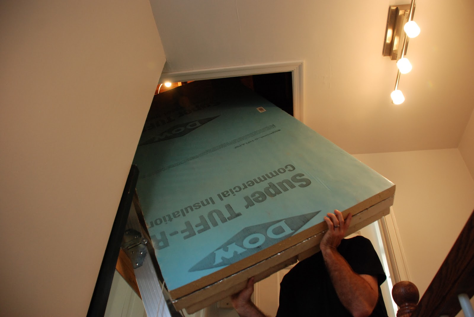 Attic Trap Door