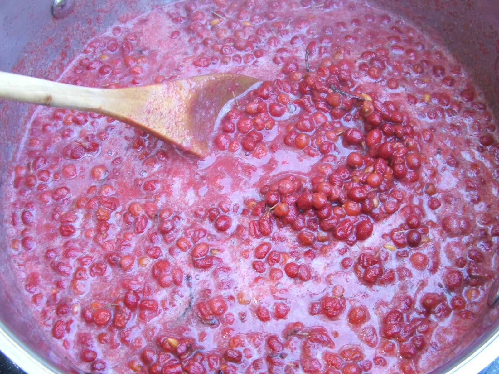 Green Zebra Market Garden Autumn Olive Jam