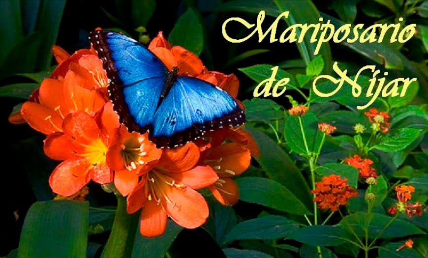 Mariposario de Níjar