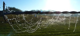 A watery web