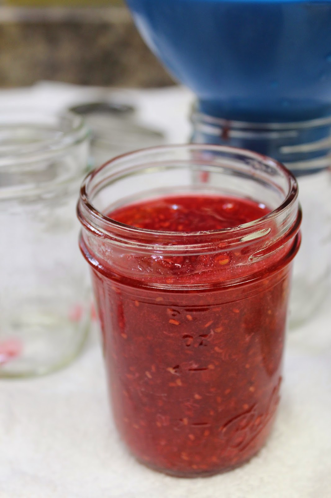 Ohio Thoughts Quick Raspberry Jam