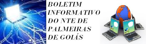 Boletim Informativo  do  NTE de Palmeiras de Goiás