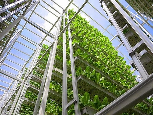 00-Sky-Greens-Vertical-Farms-for-a-new-Agricultural-Revolution-www-designstack-co