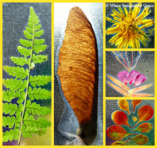 DIY Nature Slides & Light Play - Where Imagination Grows