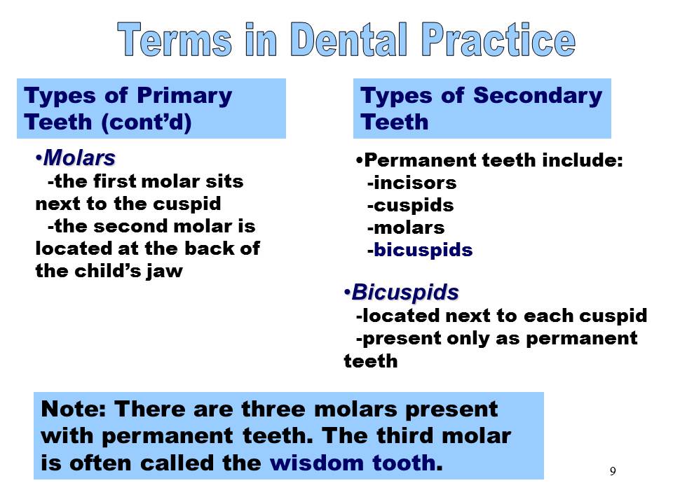 Dentistry Terms in Dental Practice