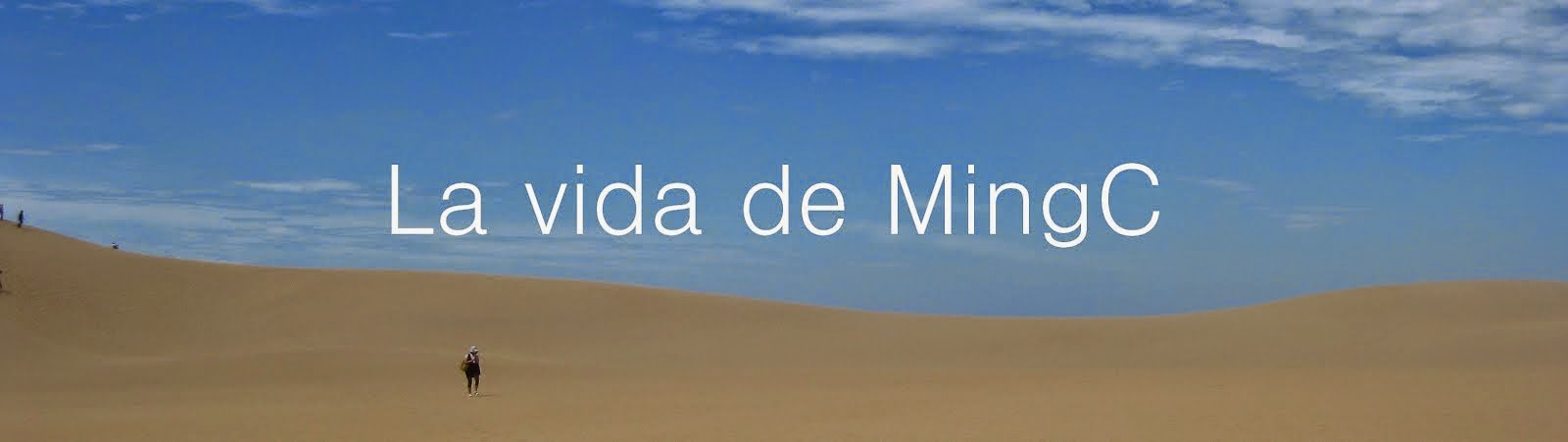 La vida de mingc