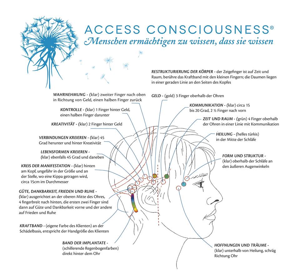 Многофункциональный стимулятор 