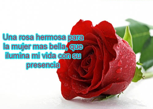 Imagenes De Amor Para Una Bella Dama | imagenes y frases facebook para la mujer mas bella Imagenes De Amor Para Una Bella Dama | imagenes y frases facebook para la mujer mas bella