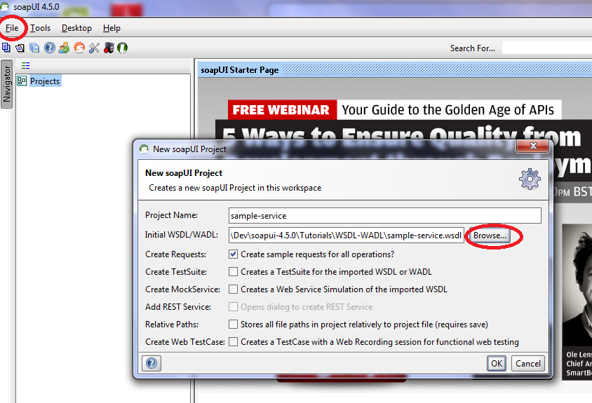 Using Soap UI to test services