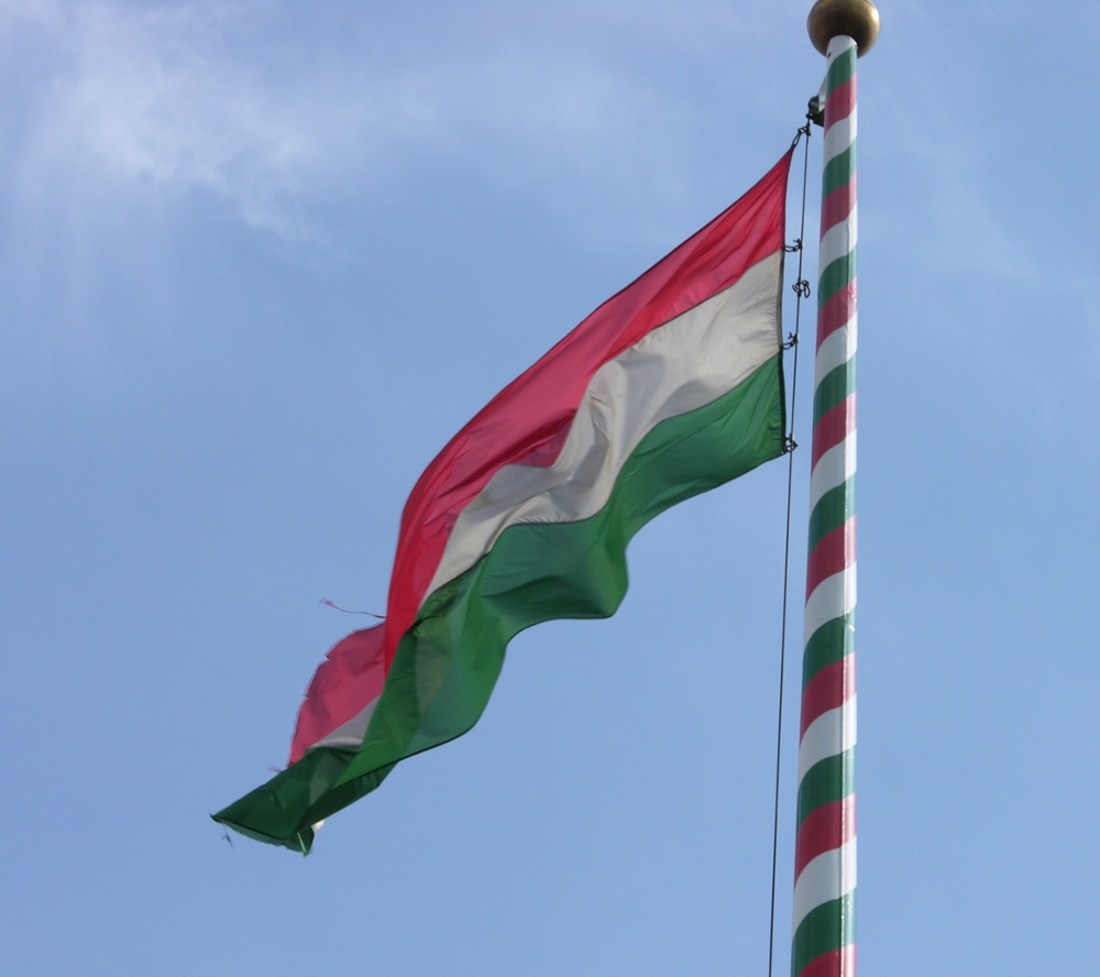Hungary Flag Pictures