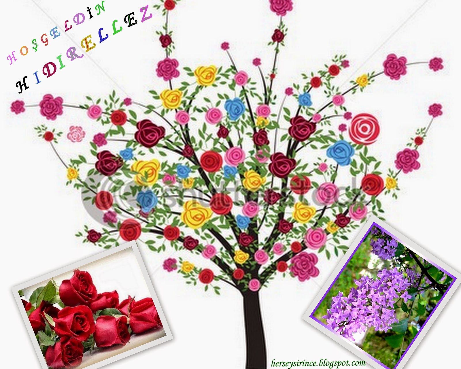 ŞİRİNCE HIDIRELLEZ