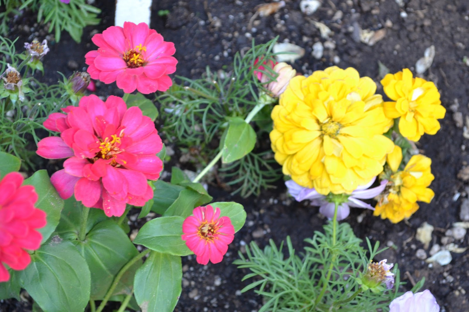 My Painted Garden Painting Yellow Flowers In A Blue Vintage Vase