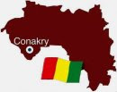 Guinée, conakry, violences, forêt, RPG