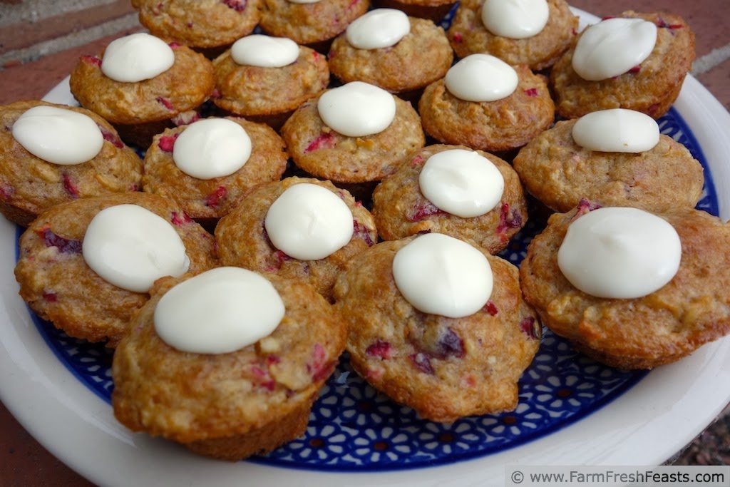 Farm Fresh Feasts Mini Cranberry Yogurt Oatmeal Muffins