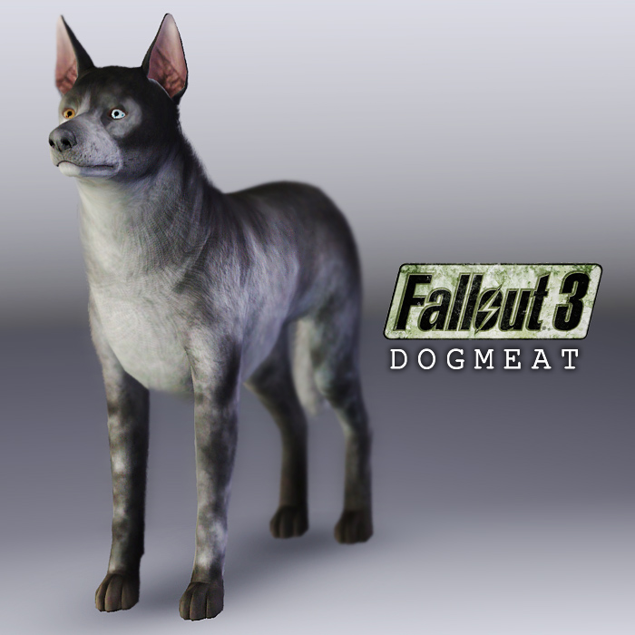 where is dogmeat in fallout 3 where is dogmeat in fallout 3