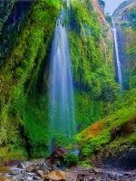 Air Terjun Madakaripura | http://pakettourwisatabromoijen.blogspot.com Air Terjun Madakaripura | http://pakettourwisatabromoijen.blogspot.com