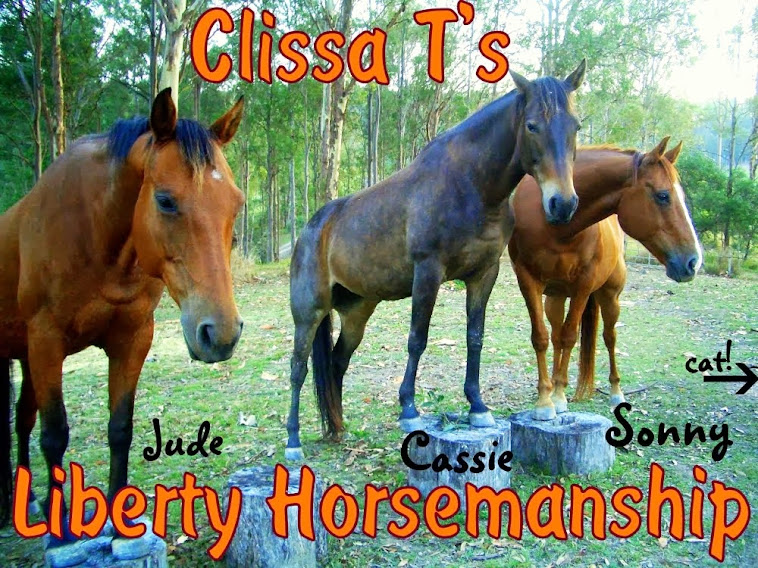 Clissa T's Liberty Horsemanship