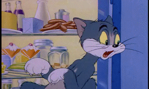 Frightened Tom Cat Frightened Tom Cat