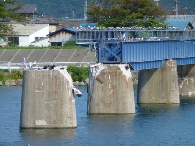 山田線　津波の被害状況　宮古駅～磯鶏駅　閉伊川