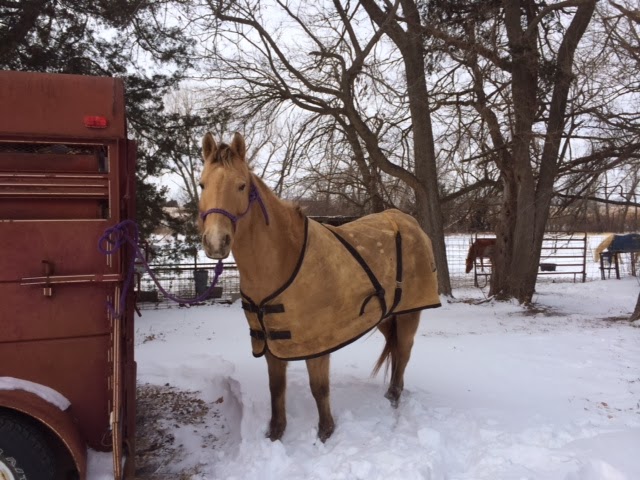horse and blanket winter horse and blanket winter