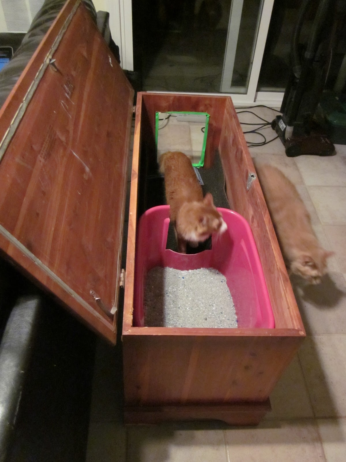 All Grown Up Smelly Kitty Litter Box Part 1