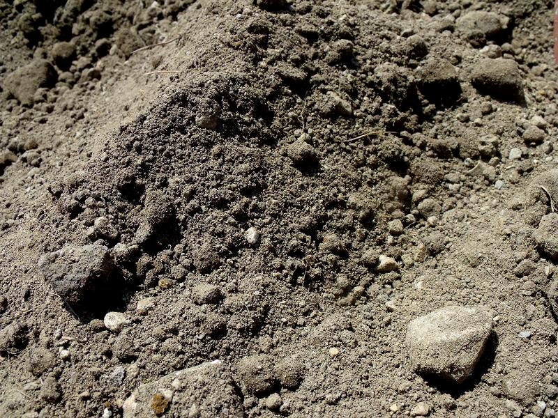 Fairy Forest Garden Erste Versuche mit LehmStrohBau Eine Bank für