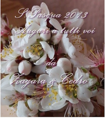 Buona Pasqua