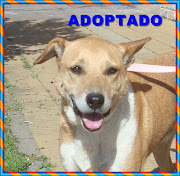 PATITA ADOPTADO!!!!!