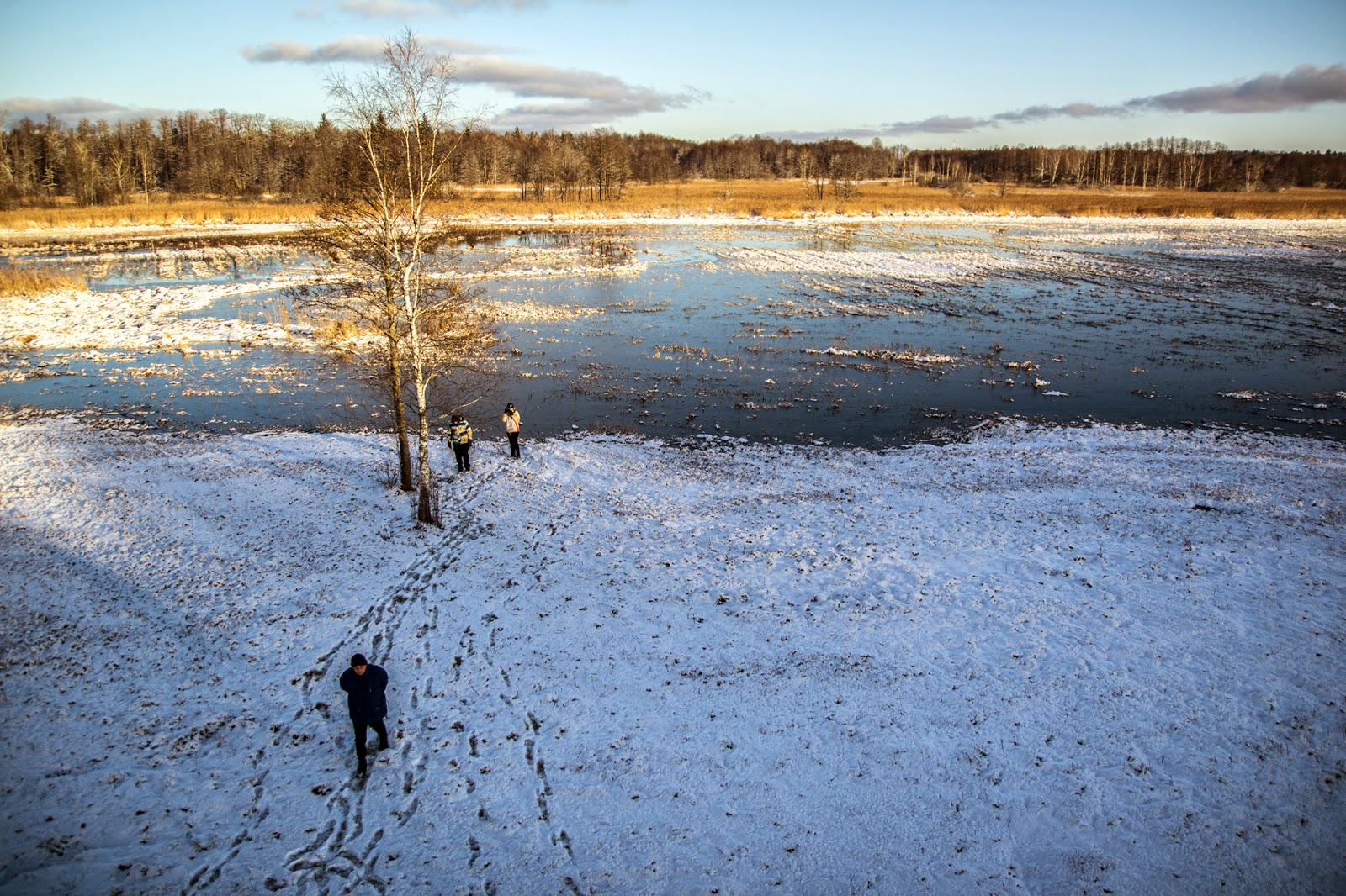 Gwiazdka w Puszczy - Ania w Podróży